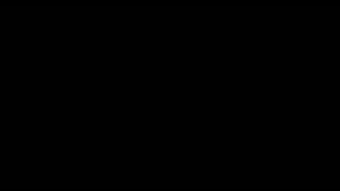 10016