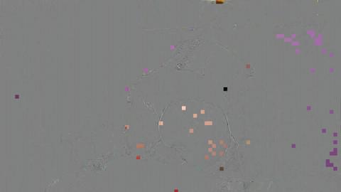 25748